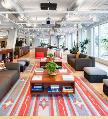 The Evolution of Co-working Spaces: Design Trends and Innovations